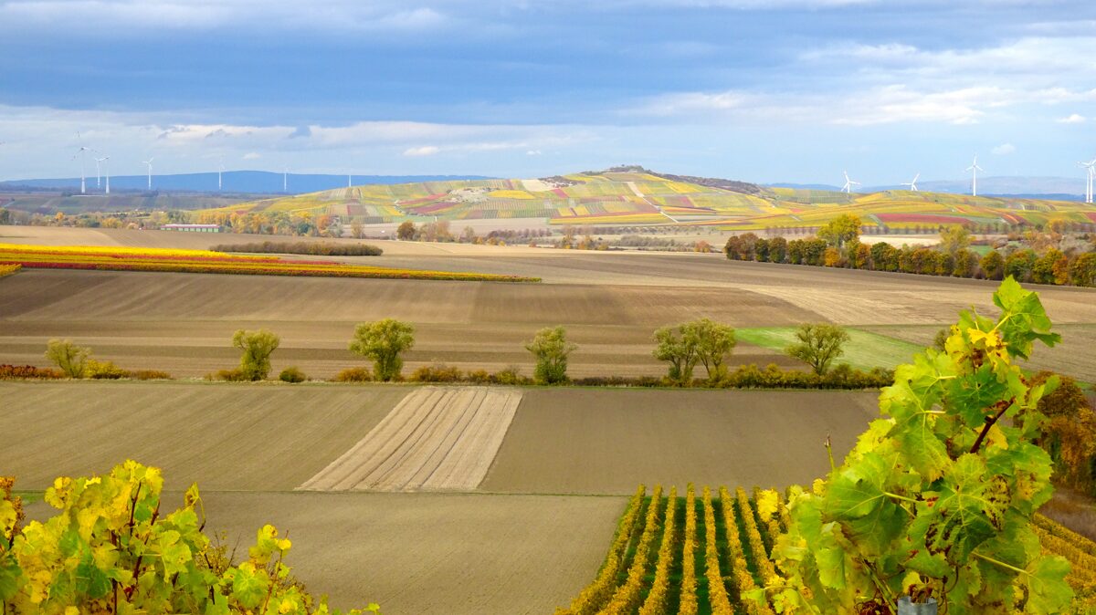 Landschaftsbild Frettenheim (Quelle: B.Kohan)