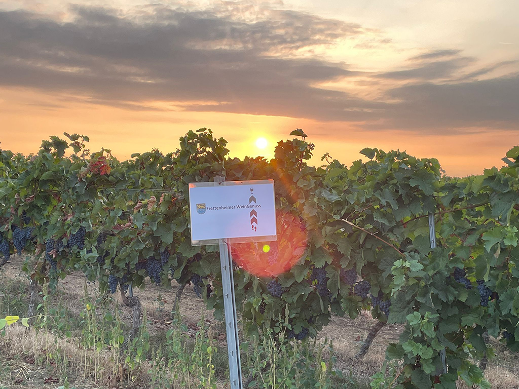 Weingenuss Frettenheim 2022 (Bild B.Kohan)